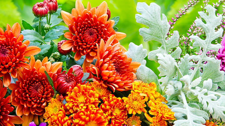 Blumen