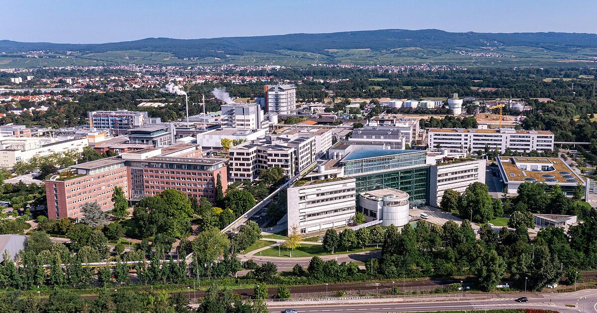 Richest German in 2026: Lidl founder Dieter Schwarz replaced by ...