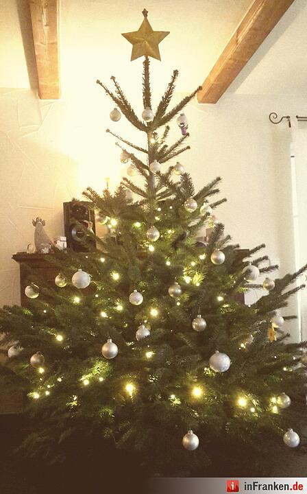 Weihnachten in Franken: Die Christbäume unserer Leser