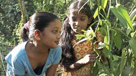 Grace (r.), kam aus der Steppe, kannte keine Blumen, dafür Not und Hunger. Vidushani (l.) stammt aus einem Bergdorf, wo Gewalt und Armut zuhause sind. Im "Little Smile"-Kinderdorf wurden das singhalesische und das tamilische Mädchen Freunde und lernten die Sprache der Anderen. Das Bestäuben der Vanilleblüten machen sie gemeinsam.