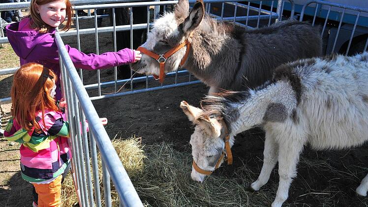 Diese beiden Esel hatten es Emily und Julie Milks (von links) aus Hainert besonders angetan.