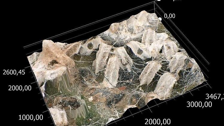 Ein Blattausschnitt mit den Kokons der Läuse wurde vermessen. Foto: Keyence