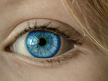 Augen