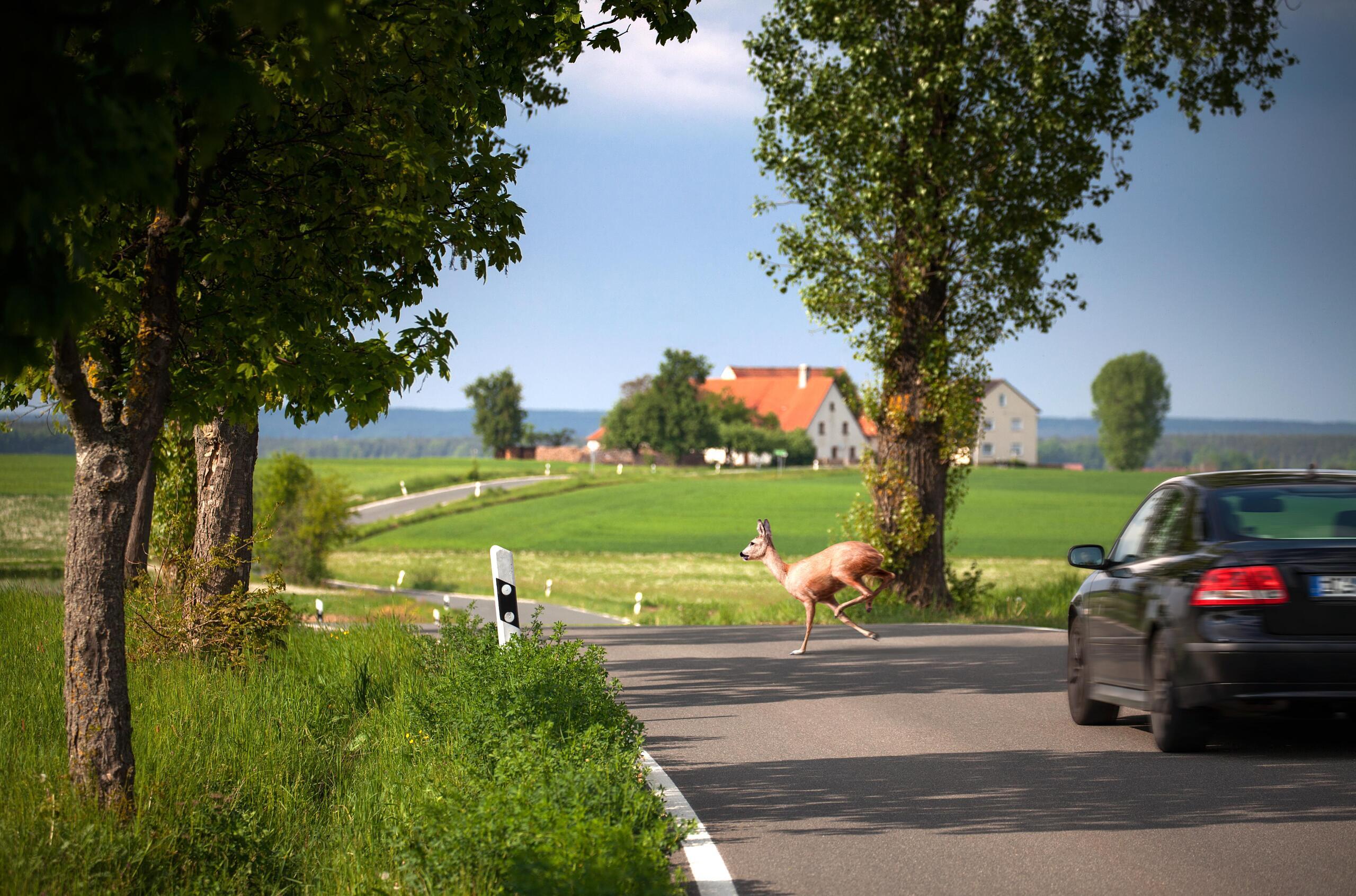 Fu Vom Gas Warum Autofahrer Derzeit Langsam Machen Sollten