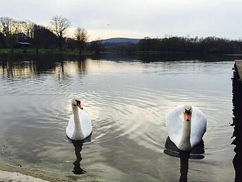 Das bislang freundliche Frühlingswetter in Franken hält auch in dieser Woche größtenteils an. Foto: inFrankenPix/"BiesiLotta91"