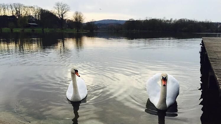 Das bislang freundliche Frühlingswetter in Franken hält auch in dieser Woche größtenteils an. Foto: inFrankenPix/"BiesiLotta91"