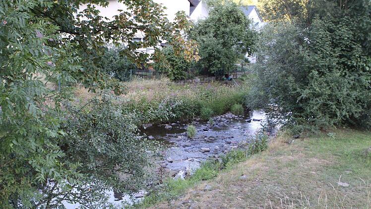 In diesem Bereich südlich von Steinberg soll ein Fußsteig über den Fluss kommen. Über das Wie war man sich wieder nicht einig.