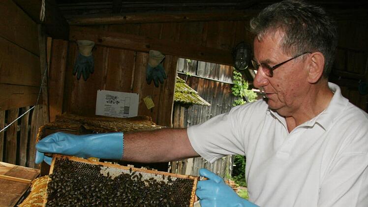Die Bienenvölker sind wegen der milden Witterung bereits in der Brutphase. Wenn jetzt doch noch ein kalter Winter kommt, könnte das Futter knapp werden, befürchtet der Vorsitzende des Imkervereins Kulmbach, Hermann Lochner. Foto: Sonja Adam