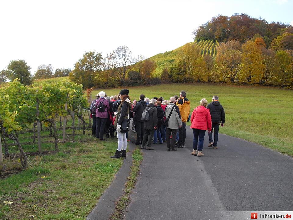 ABO Plus Bus-Wander-Tour Handthal_29.10.2016