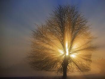 Von Mittwoch bis Freitag lässt sich die Sonne öfter einmal blicken.Jens Büttner/dpa-Zentralbild/dpa