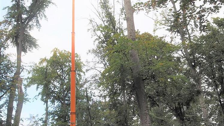 Auf über 30 Meter Höhe kann der Hubsteiger zur Begutachtung der Baumkronen ausgefahren werden.  Fotos: Stadt Bamberg/Schützwohl