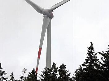 Die Windräder ragen hoch über den Waldbestand hinaus.  Foto: Friedwald Schedel
