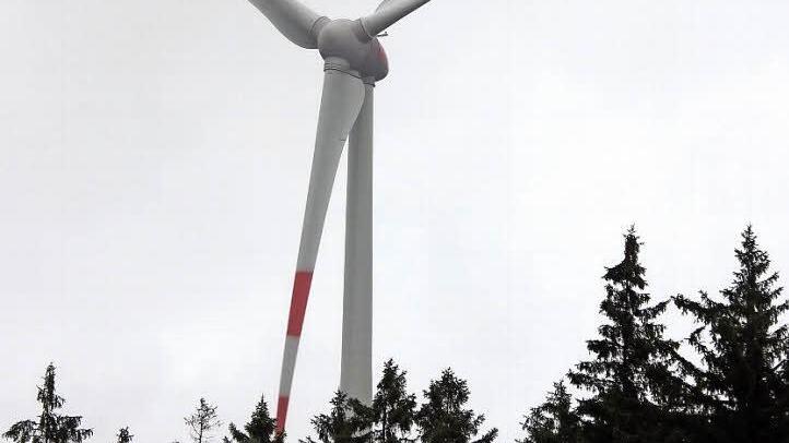 Die Windräder ragen hoch über den Waldbestand hinaus.  Foto: Friedwald Schedel