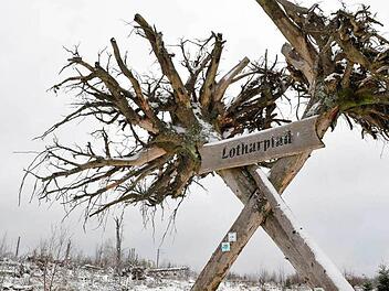 An den Weihnachtstagen des Jahres 1999 tobte der Orkan "Lothar" auch in Franken. Im Schwarzwald wurde dem Wintersturm sogar ein Lehrpfad gewidmet. Tritt"Heini" jetzt in "Lothars" Fußstapfen? Foto: dpa