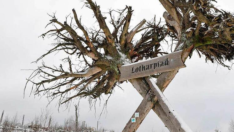 An den Weihnachtstagen des Jahres 1999 tobte der Orkan "Lothar" auch in Franken. Im Schwarzwald wurde dem Wintersturm sogar ein Lehrpfad gewidmet. Tritt"Heini" jetzt in "Lothars" Fußstapfen? Foto: dpa