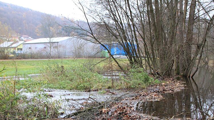 Die Hochwasserpolder leisten gute Arbeit. Sie fangen das gestaute Wasser auf, das über das Ufer tritt. Foto: Julia Raab