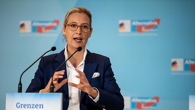 Alice Weidel