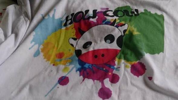Sogar ein eigenes T-Shirt hat Heidi. Foto: facebook.com/HoliCowHeidi