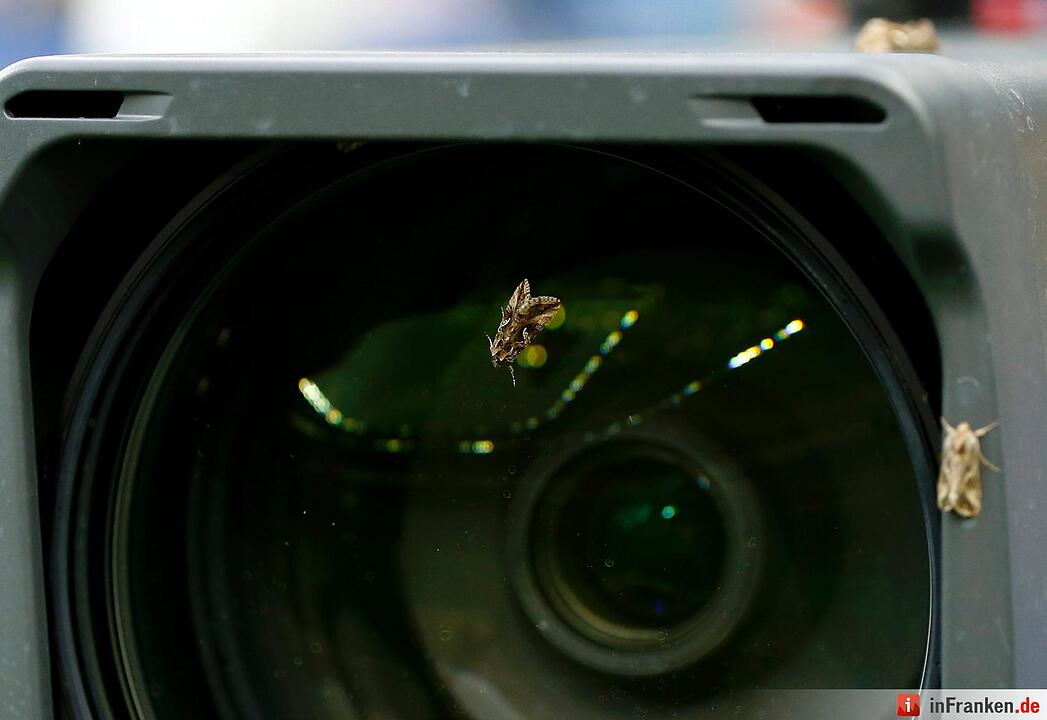 Motten beim EM-Finalspiel in Paris