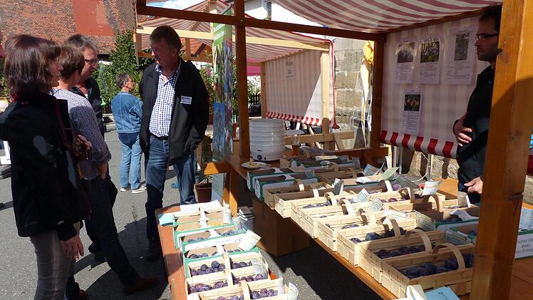 Foto: Pauline Lindner