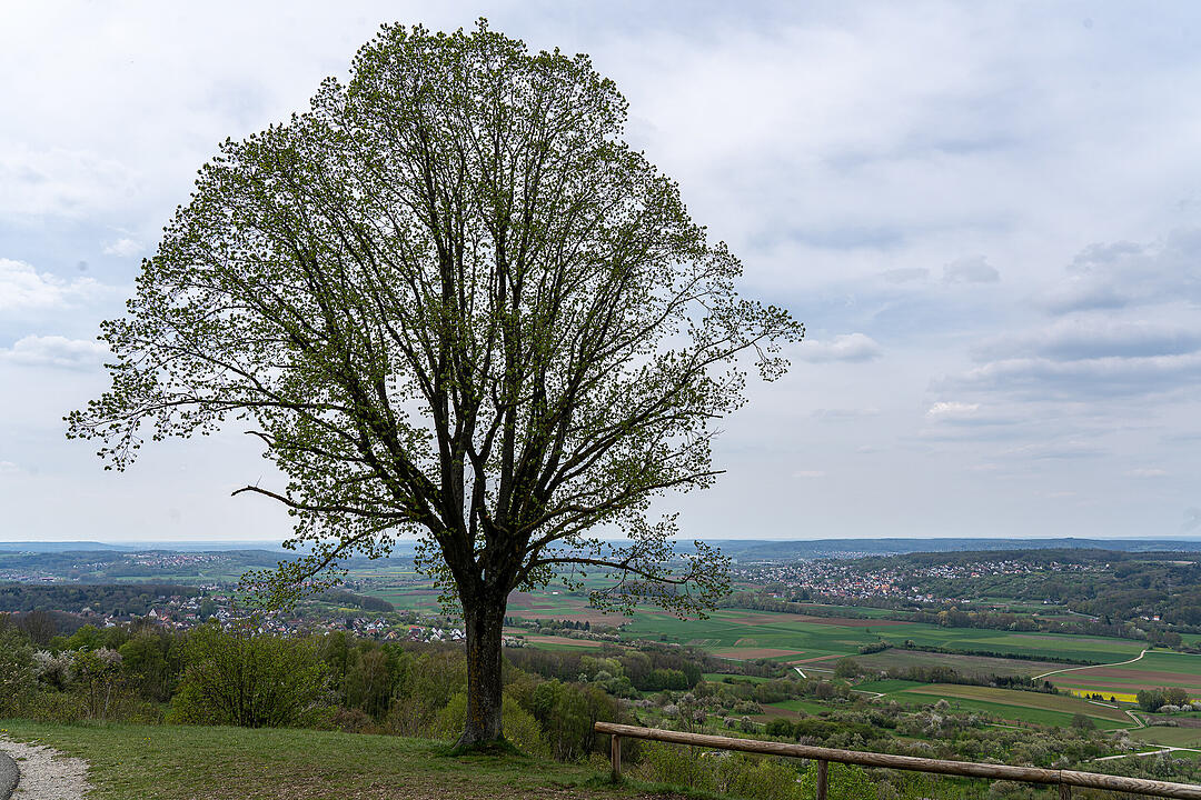 Der Berg der Franken