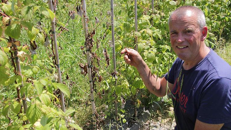 Süße, wohlschmeckende Erdbeeren - darauf freuen sich die Kunden. So wie Anna Priesmer (l.).