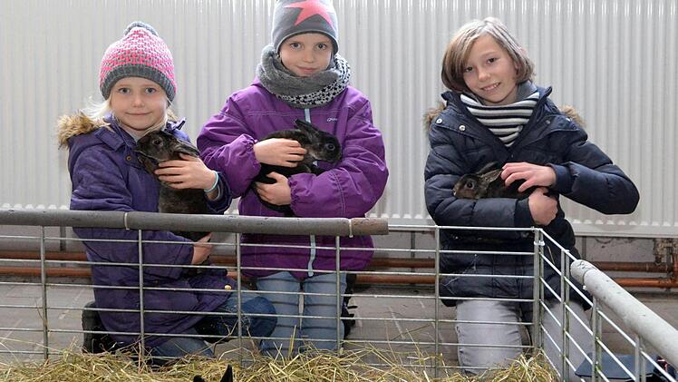 Luise, Sophia und Lucia hätten am liebsten je eines der Zwergkaninchen mit heim genommen. Fotos: Peter Rauch
