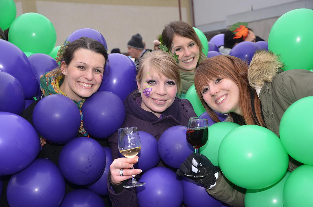Landkreisfaschingszug 2015