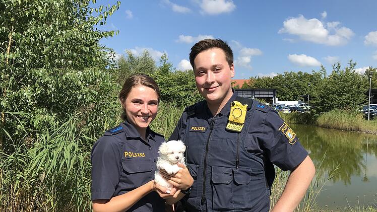 Polizei stoppt illegalen Welpenschmuggel: Baby-Hund vor ungewisser Zukunft