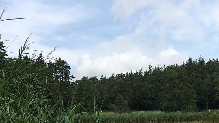 Das Wasser am Oberen Haussee ist deutlich zurückgegangen.Foto: A. Schreiber