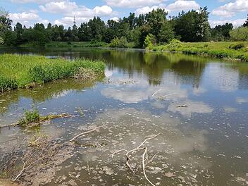 Sedimente könnten den Baggersee im nördlichen Eggolsheim zum Kippen bringen, sagen die Angler des Fischereivereins. Daher haben sie einen Weg angelegt, um den See auszubaggern.  Foto: Ekkehard Roepert