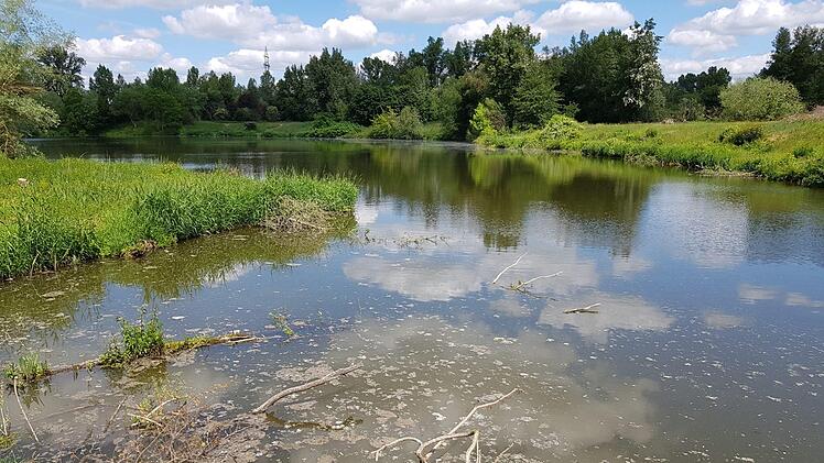 Sedimente könnten den Baggersee im nördlichen Eggolsheim zum Kippen bringen, sagen die Angler des Fischereivereins. Daher haben sie einen Weg angelegt, um den See auszubaggern.  Foto: Ekkehard Roepert