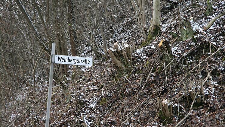 Auch in der Weinbergstraße wurde eine Böschung zurückgeschnitten.