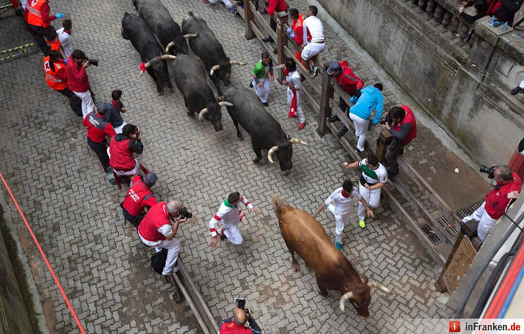 Stierhatz in Pamplona