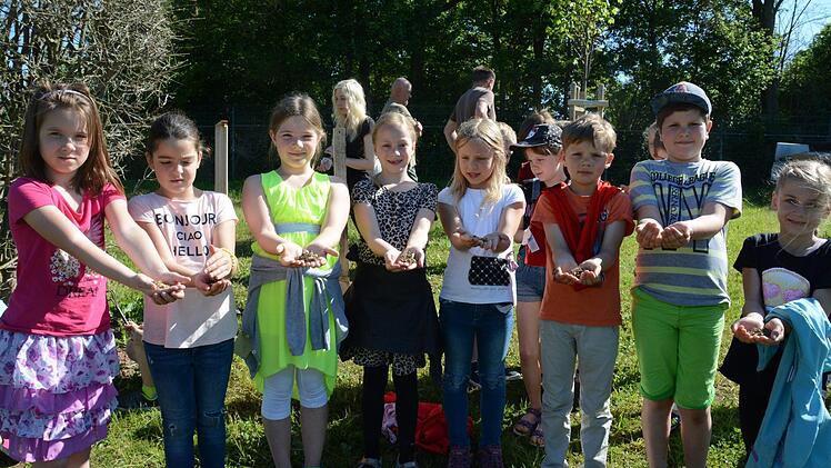 Kinder der 2d aus Hammelburg beim Bau eines Insektenhotels.  Foto: Elisabeth Assmann