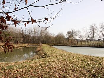 Bei der Kläranlage in Windheim gibt es Investitionsbedarf. Der Stadtrat hat den nötigen Arbeiten zugestimmt.