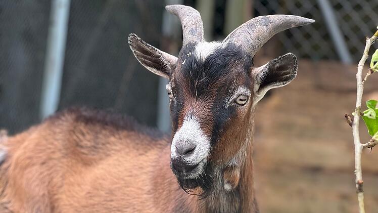 Tierheim Erlangen berichtet von ungewöhnlicher Entdeckung - "hat mir die Sprache verschlagen"