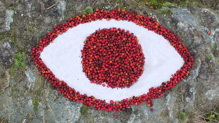 Rote Beeren mit weißem Quarzsand.