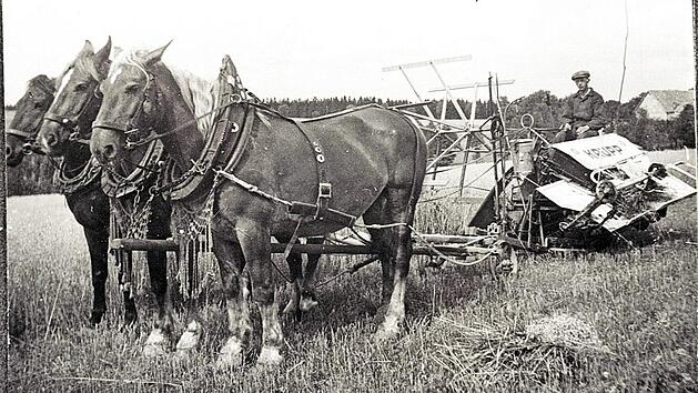 Die Besitzer des Anwesens in Oberp&ouml;llitz hatten immer die ersten neuen Landmaschinen. Die historische Aufnahme zeigt wohl Johann Adam Sack bei der Arbeit mit einem der ersten Bindem&auml;her, den drei stattliche Pferde ziehen.