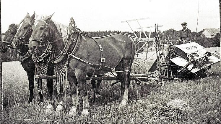Die Besitzer des Anwesens in Oberpöllitz hatten immer die ersten neuen Landmaschinen. Die historische Aufnahme zeigt wohl Johann Adam Sack bei der Arbeit mit einem der ersten Bindemäher, den drei stattliche Pferde ziehen.