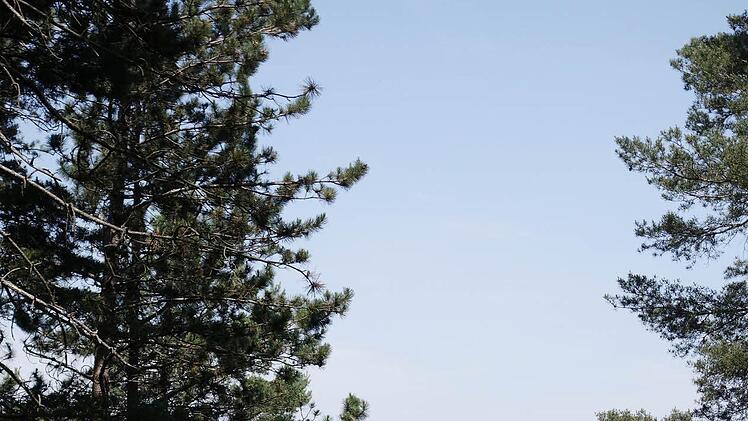 Ein Ort der Stille ist die Windsburg geblieben, samt Blick ins Lauertal.