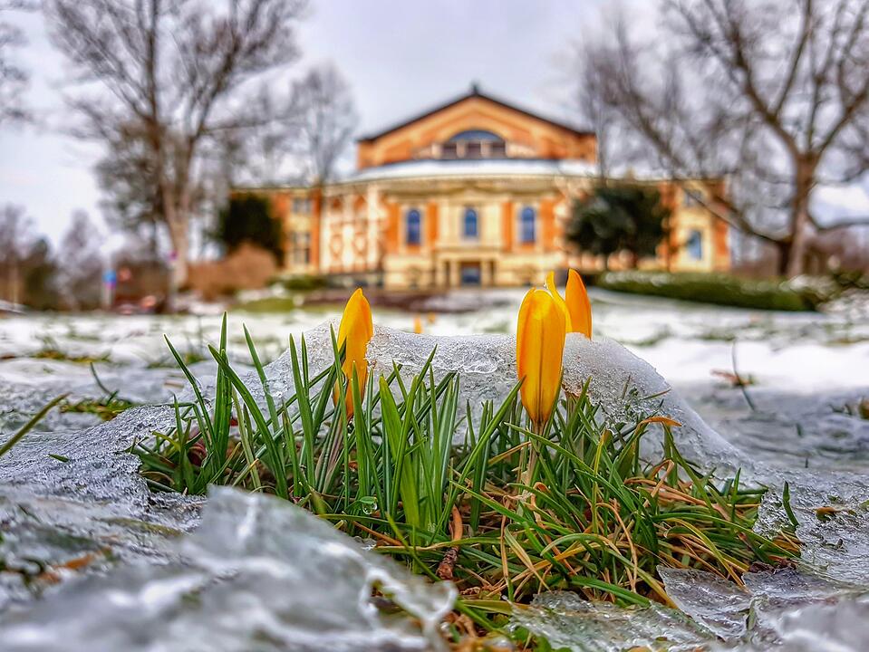 Die schönsten Frühlingsfotos aus Bayreuth und Umgebung