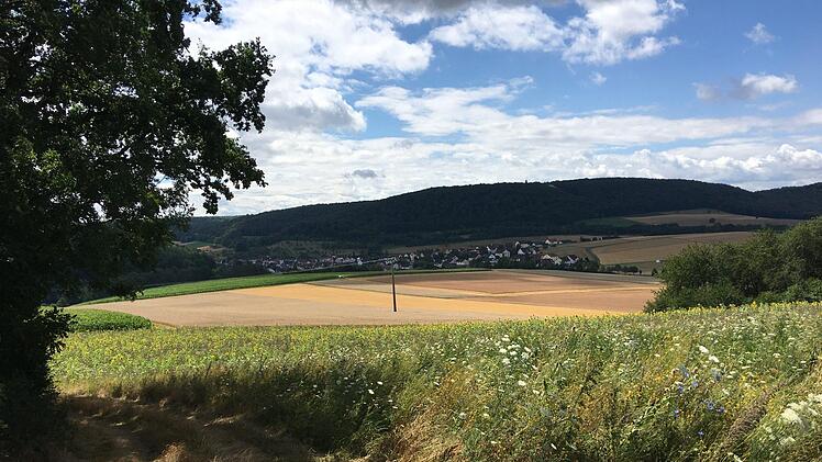Blick auf Arnshausen von Reiterswiesen kommend.