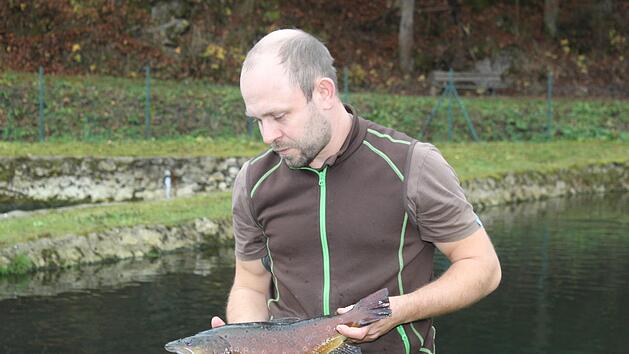 Ronny Seyfried mit einer BachforelleCarmen Schwind