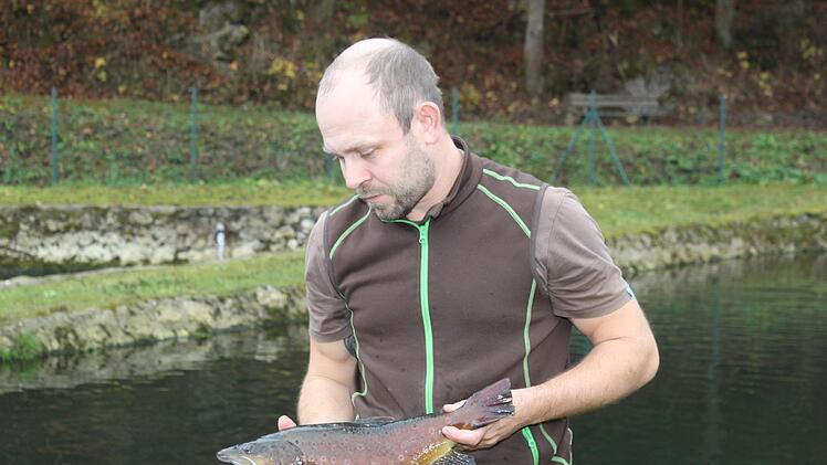Ronny Seyfried mit einer BachforelleCarmen Schwind