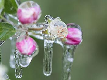 Eisheilige 2023: Wetterph&auml;nomen soll K&auml;lteeinbruch ausl&ouml;sen