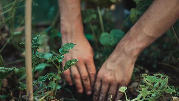 Gartenarbeiten im Oktober