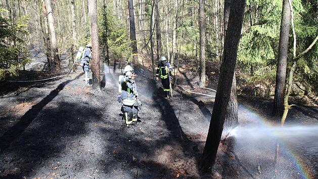 Bei einem Feuer im Kreis Nürnberger Land (Mittelfranken) gerieten am Freitag rund tausend Quadratmeter Wald in Brand. Die Feuerwehr rückte mit einem Großaufgebot an und löschte die Flammen. Foto: NEWS5 / Fechner