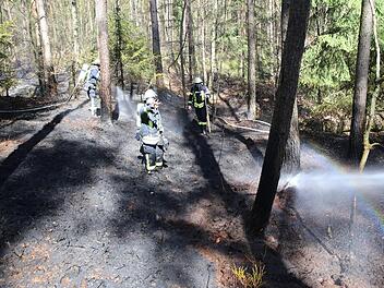 Bei einem Feuer im Kreis Nürnberger Land (Mittelfranken) gerieten am Freitag rund tausend Quadratmeter Wald in Brand. Die Feuerwehr rückte mit einem Großaufgebot an und löschte die Flammen. Foto: NEWS5 / Fechner
