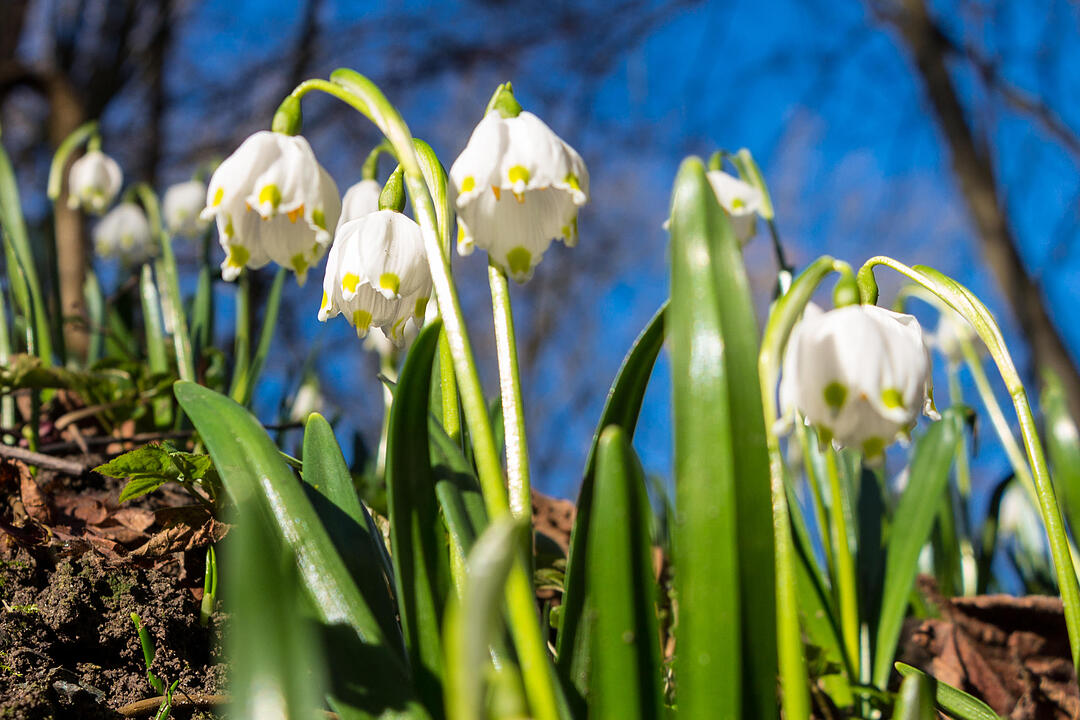 Fotos Konrad Thomann